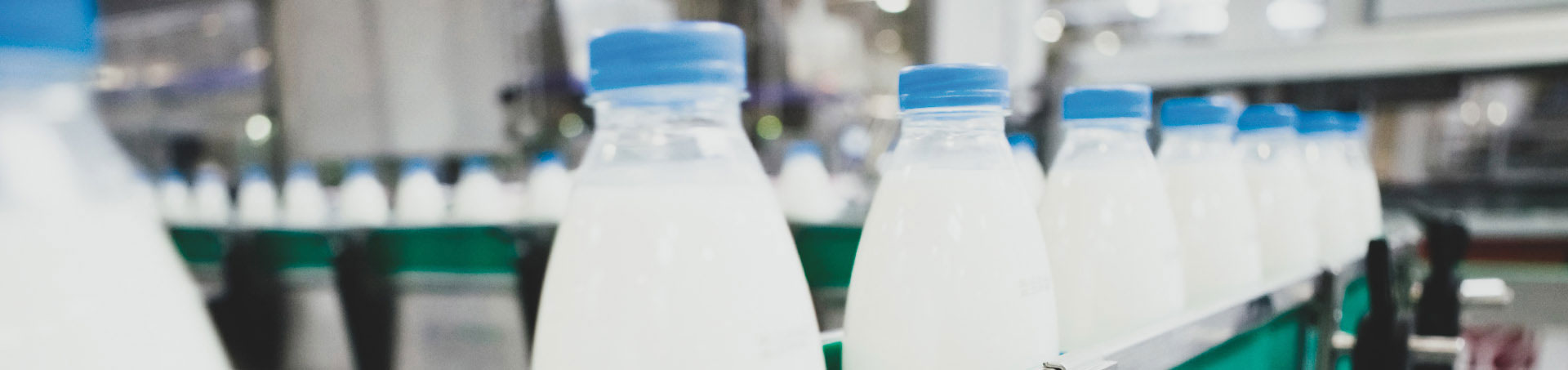 AQ Dairy Manufacturing Industry